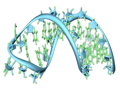 dna