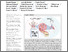 [thumbnail of TIMP1 is an early biomarker for detection and prognosis of lung cancer.pdf]