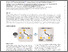 [thumbnail of 2024_Kotagama_Catalytic_residues.pdf]